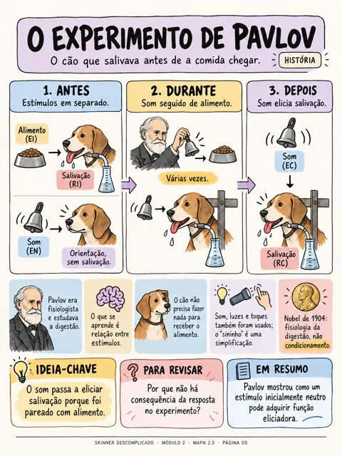 Mapa O experimento de Pavlov, do Skinner Descomplicado, módulo 2