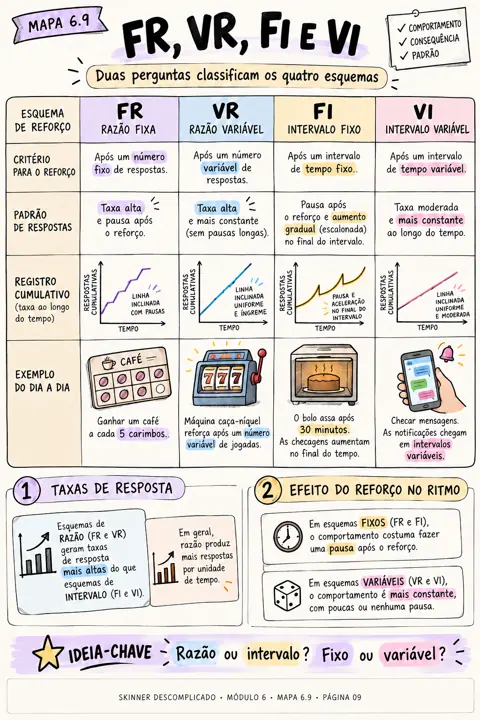 Mapa Os quatro esquemas lado a lado, do Skinner Descomplicado, módulo 6