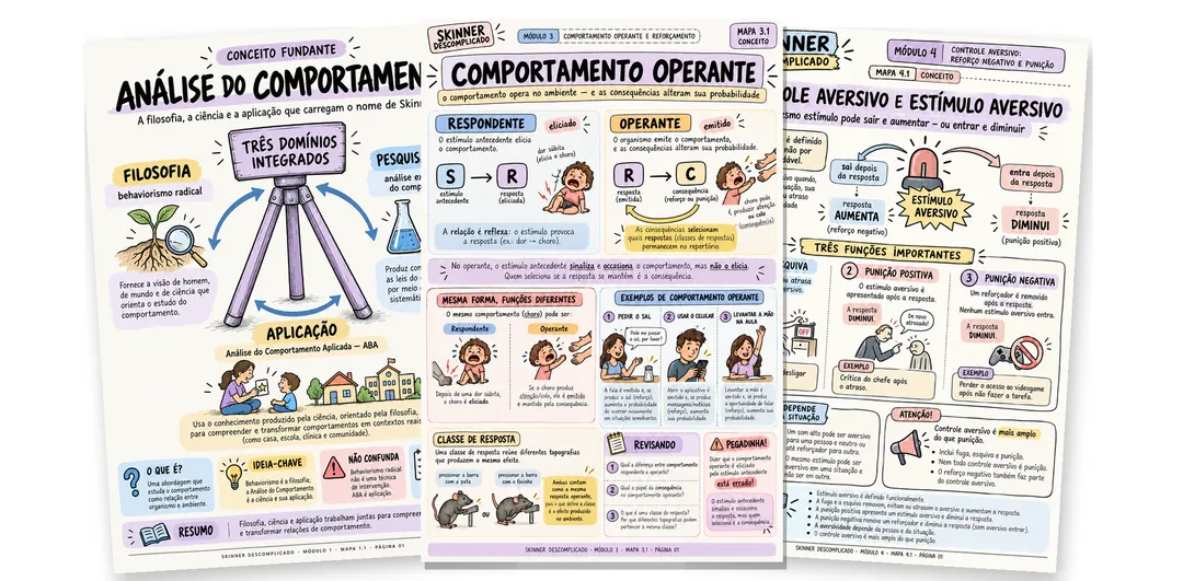 Três mapas do Skinner Descomplicado em leque
